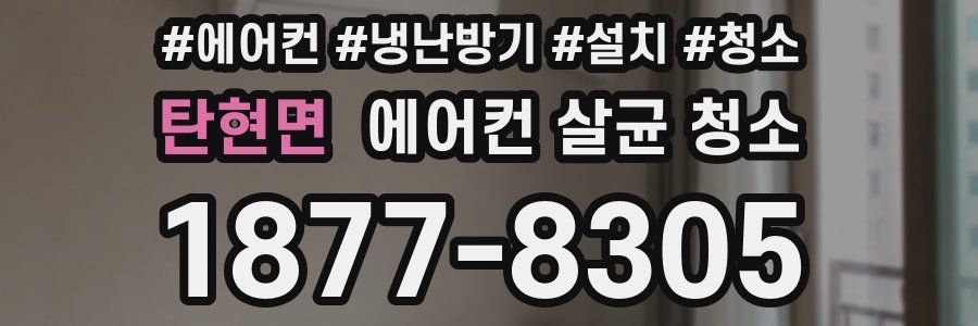 탄현면 에어컨 살균 청소