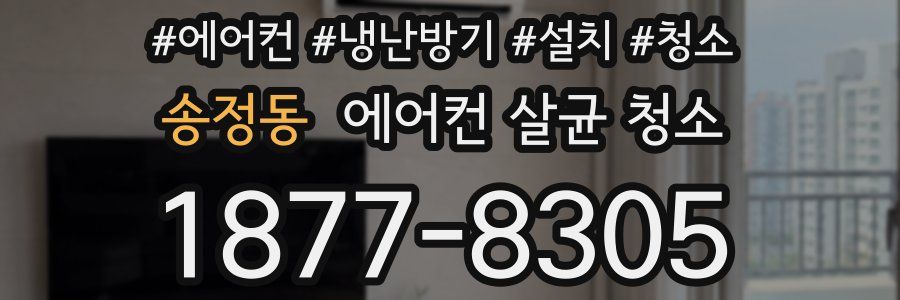 송정동 에어컨 살균 청소