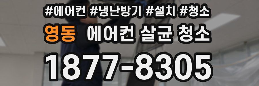 영동 에어컨 살균 청소