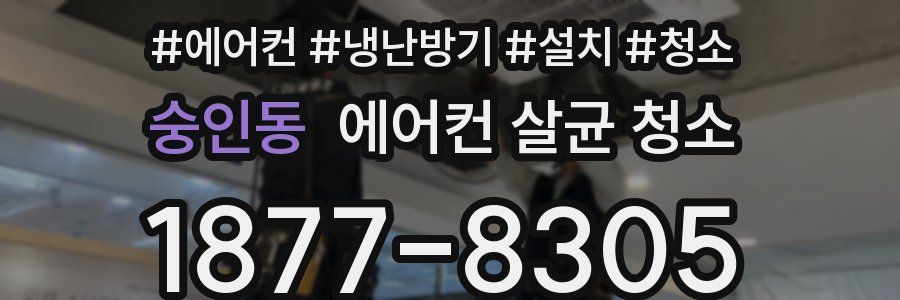 숭인동 에어컨 살균 청소
