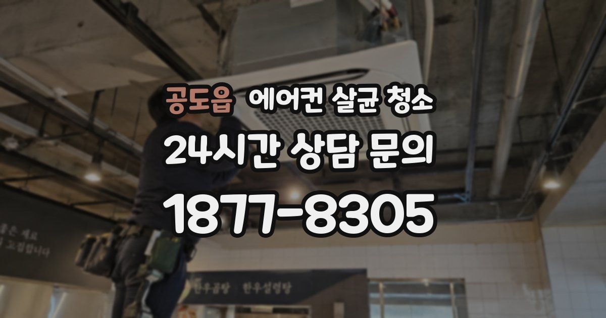 공도읍 에어컨 살균 청소