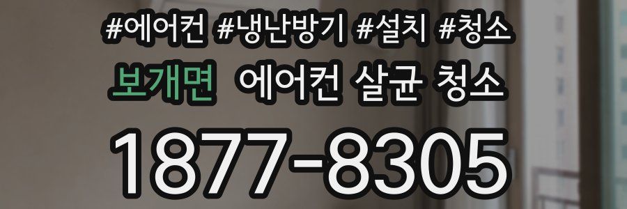 보개면 에어컨 살균 청소
