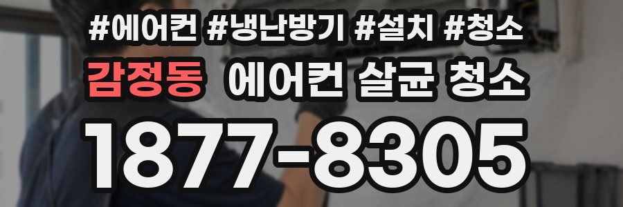감정동 에어컨 살균 청소