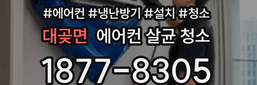 대곶면 에어컨 살균 청소