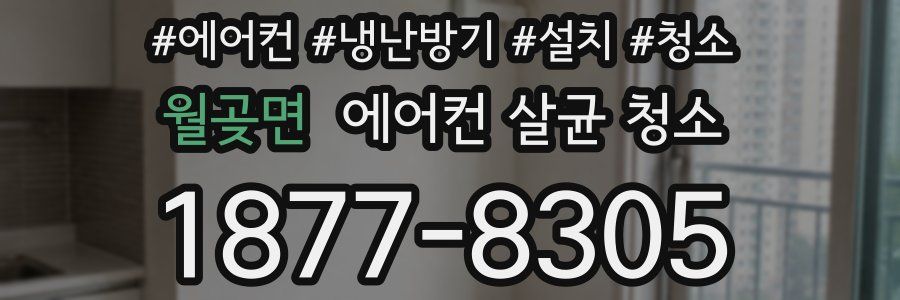 월곶면 에어컨 살균 청소