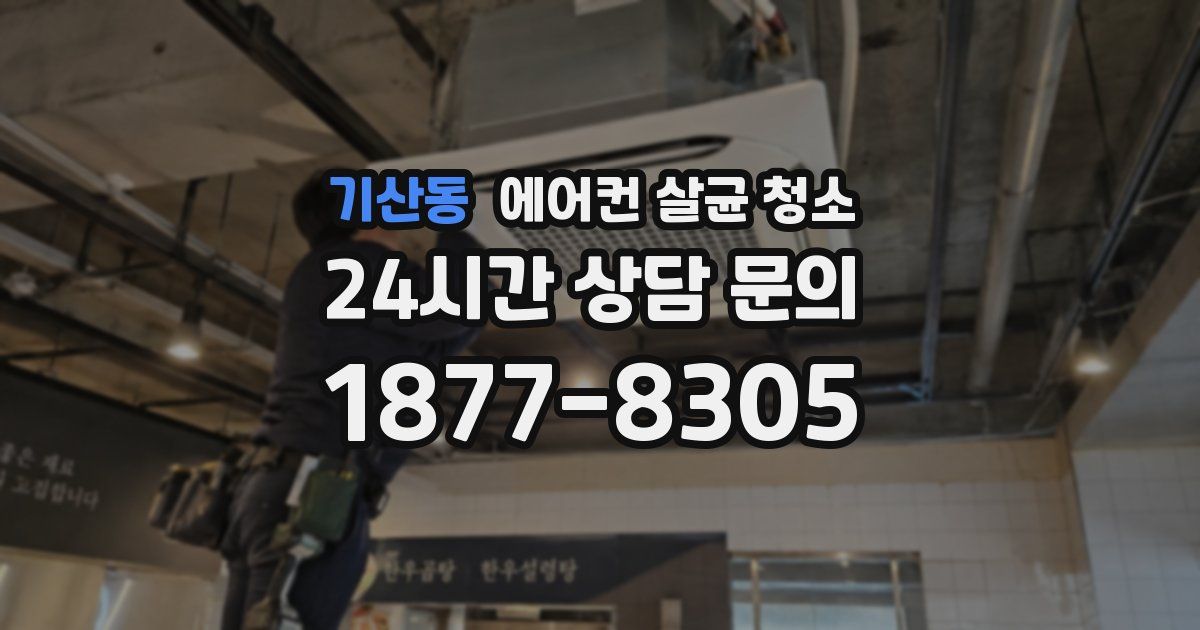 기산동 에어컨 살균 청소