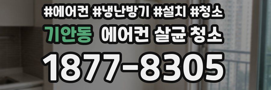기안동 에어컨 살균 청소