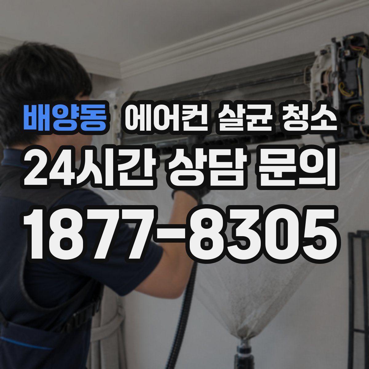 배양동 에어컨 살균 청소