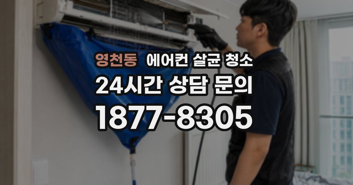 영천동 에어컨 살균 청소