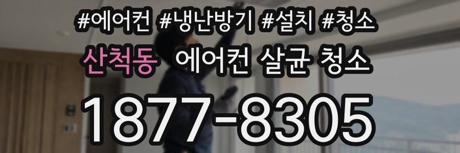 산척동 에어컨 살균 청소