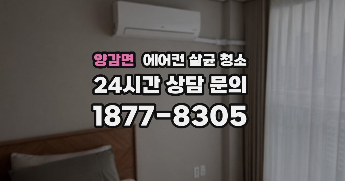 양감면 에어컨 살균 청소
