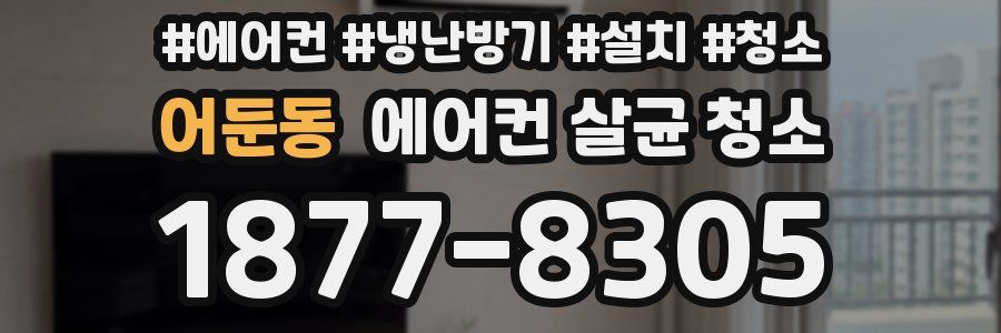 어둔동 에어컨 살균 청소