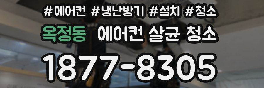 옥정동 에어컨 살균 청소