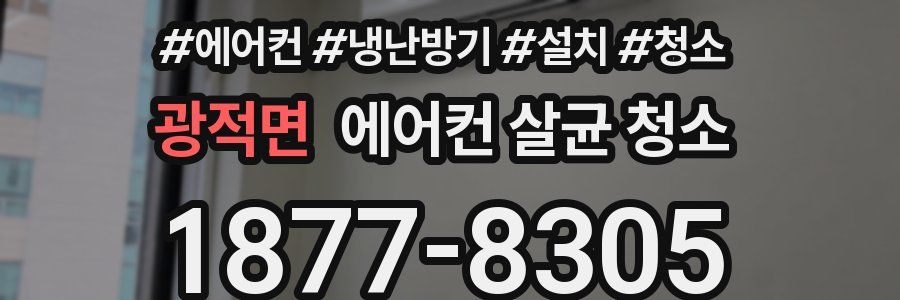 광적면 에어컨 살균 청소