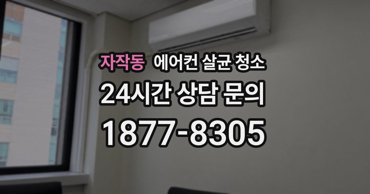 자작동 에어컨 살균 청소