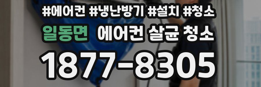 일동면 에어컨 살균 청소