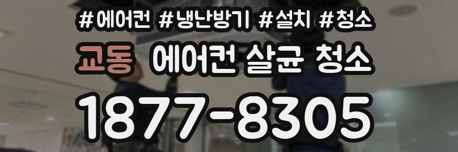 교동 에어컨 살균 청소