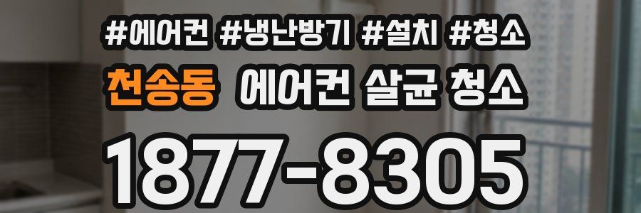 천송동 에어컨 살균 청소