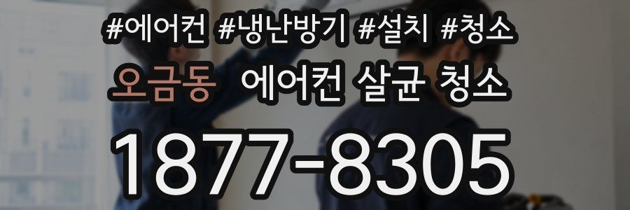 오금동 에어컨 살균 청소