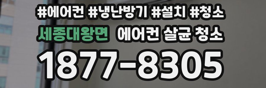 세종대왕면 에어컨 살균 청소