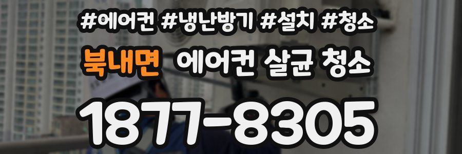 북내면 에어컨 살균 청소