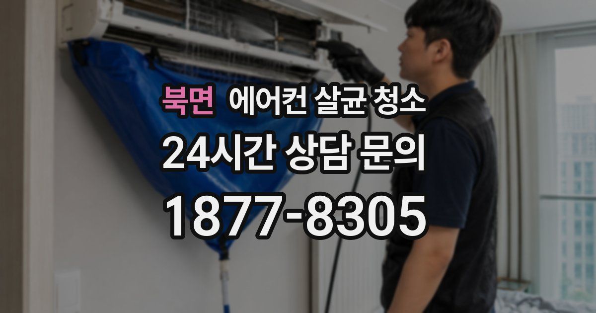 북면 에어컨 살균 청소