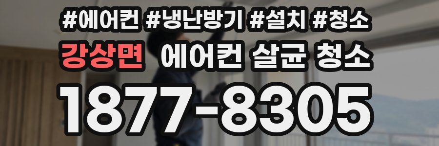 강상면 에어컨 살균 청소