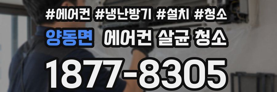 양동면 에어컨 살균 청소