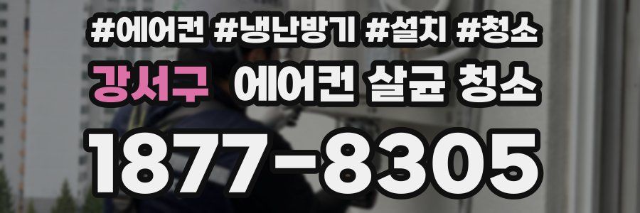 강서구 에어컨 살균 청소