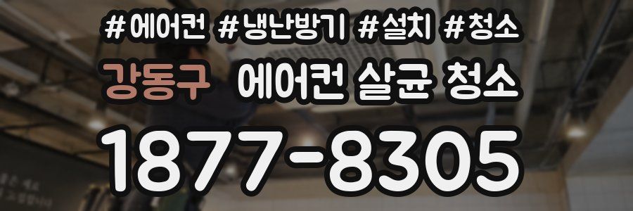 강동구 에어컨 살균 청소