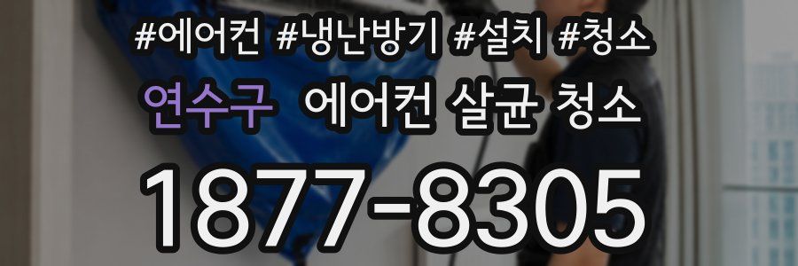 연수구 에어컨 살균 청소