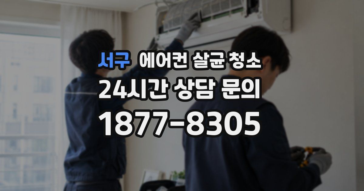 서구 에어컨 살균 청소