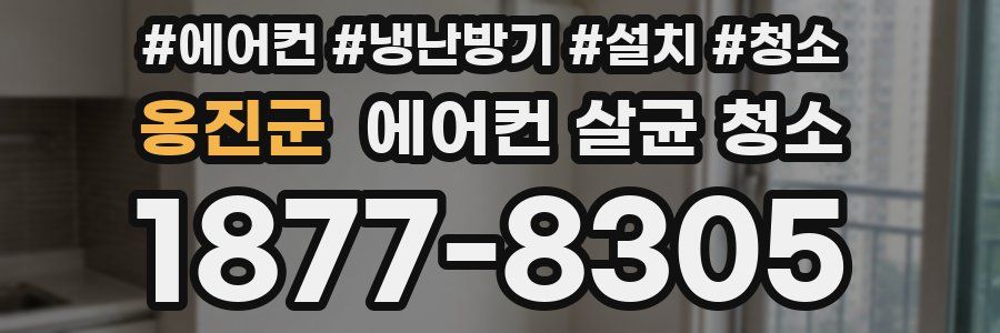 옹진군 에어컨 살균 청소