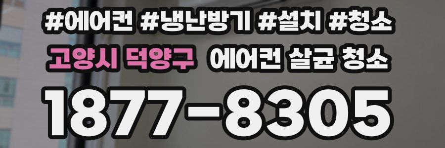 고양시 덕양구 에어컨 살균 청소