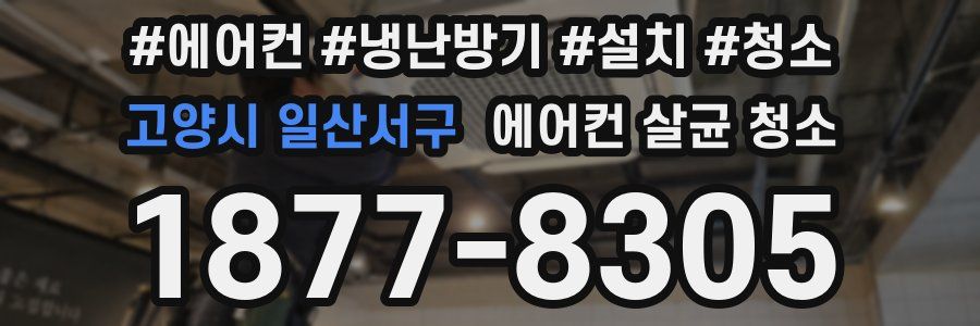 고양시 일산서구 에어컨 살균 청소