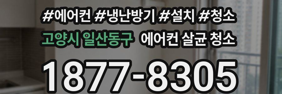 고양시 일산동구 에어컨 살균 청소