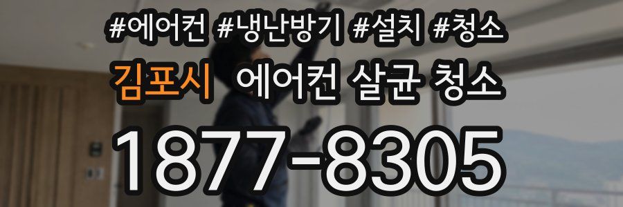김포시 에어컨 살균 청소