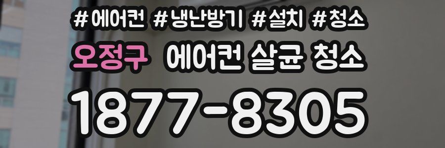 오정구 에어컨 살균 청소