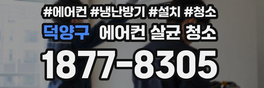 덕양구 에어컨 살균 청소