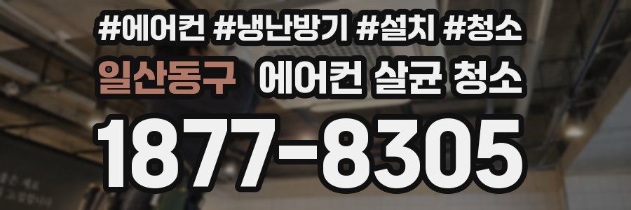 일산동구 에어컨 살균 청소