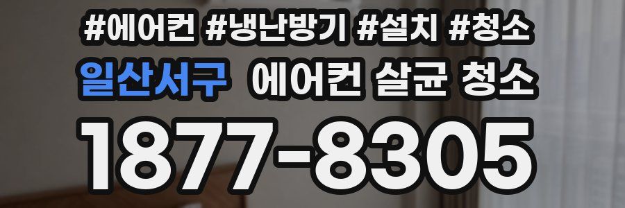 일산서구 에어컨 살균 청소