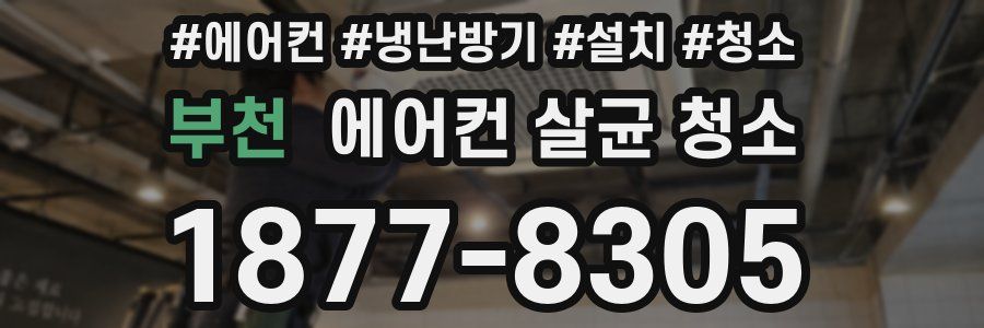 부천 에어컨 살균 청소