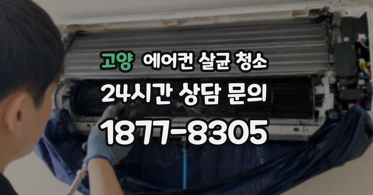 고양 에어컨 살균 청소