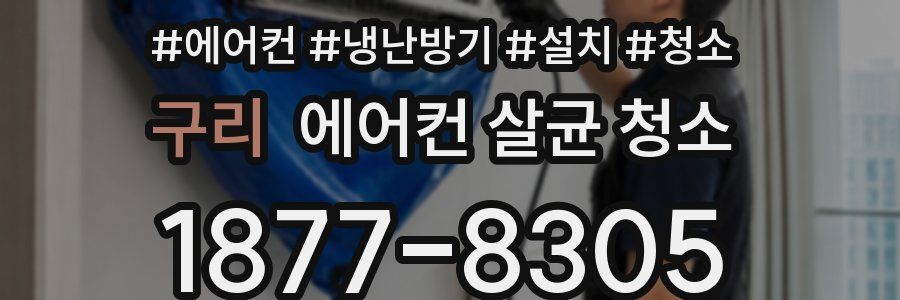 구리 에어컨 살균 청소