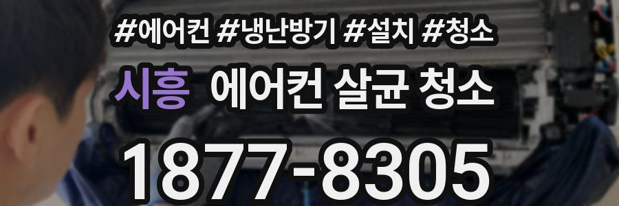시흥 에어컨 살균 청소
