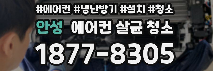 안성 에어컨 살균 청소