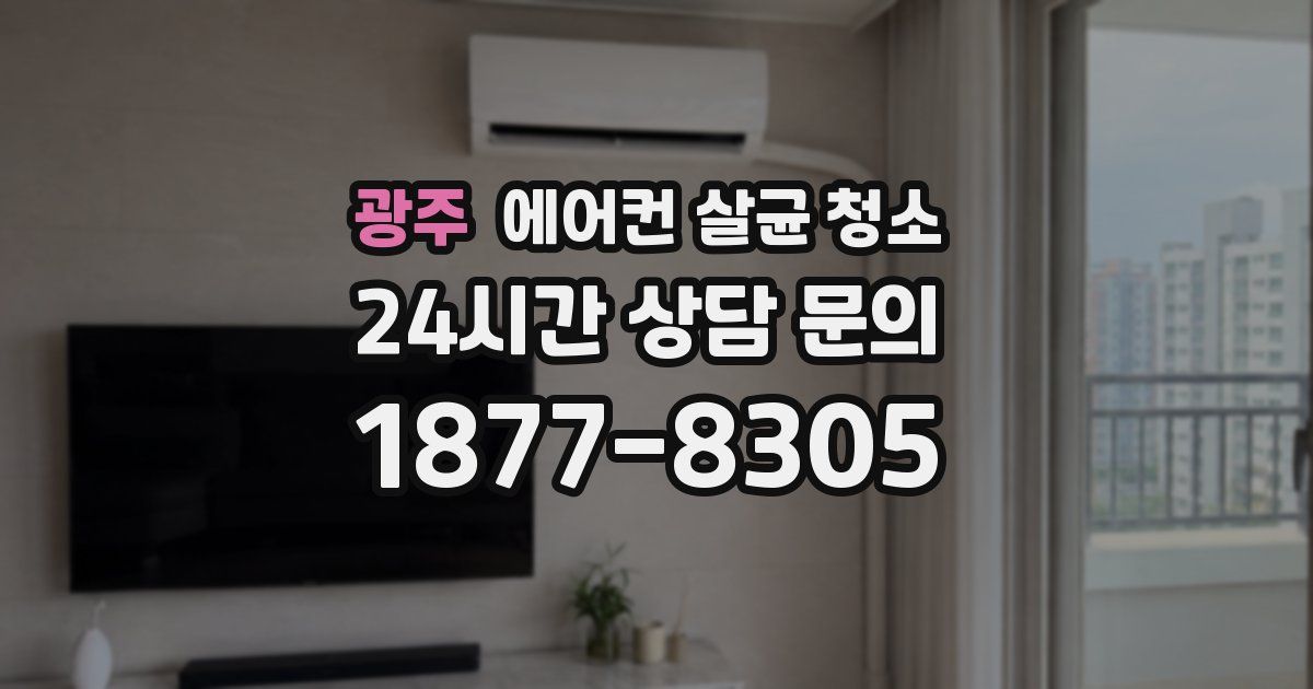 광주 에어컨 살균 청소
