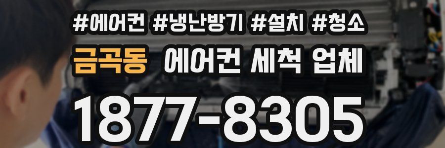 금곡동 에어컨 세척 업체