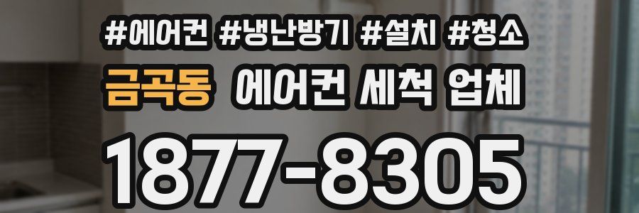 금곡동 에어컨 세척 업체