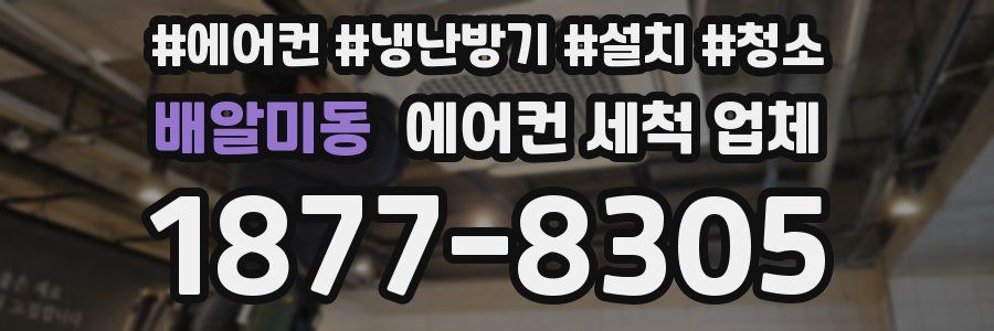 배알미동 에어컨 세척 업체